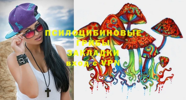 круглые Каменка