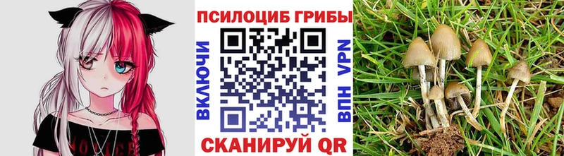Галлюциногенные грибы ЛСД  Купить закладки  Нижняя Салда 